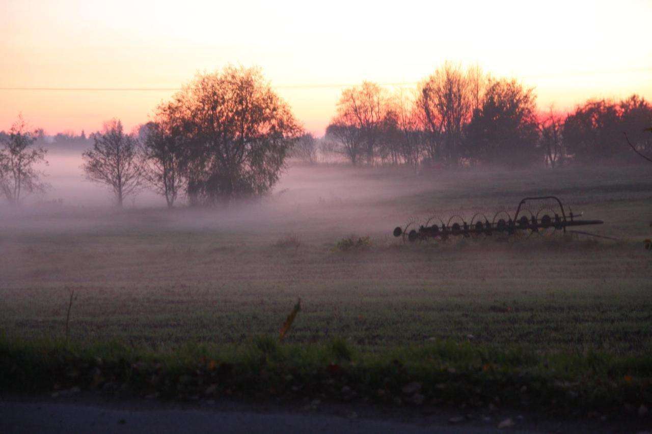 Segment Rodzinny Stara Szkola Weremowice Exterior foto